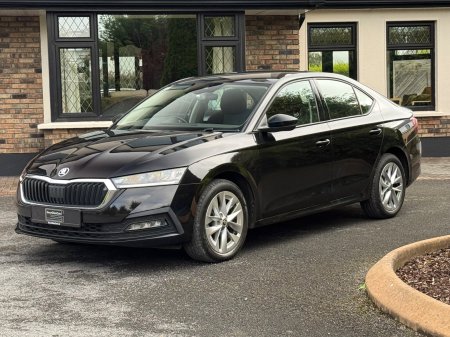 2023 Skoda Octavia - photo 3