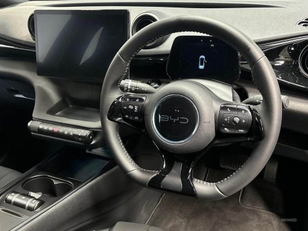 2025 BYD DOLPHIN - photo 9