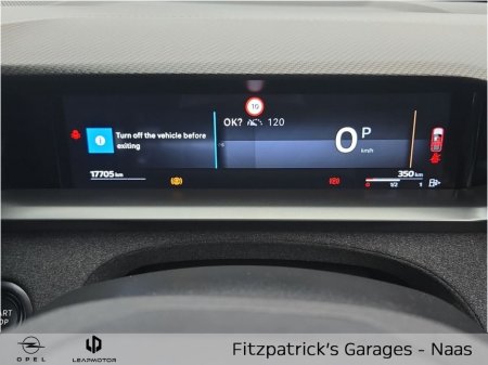 2025 Opel Grandland - photo 19
