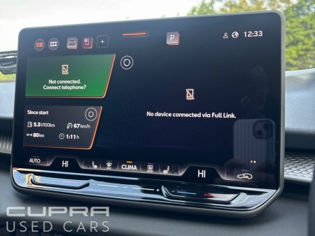2025 Cupra Terramar - photo 13