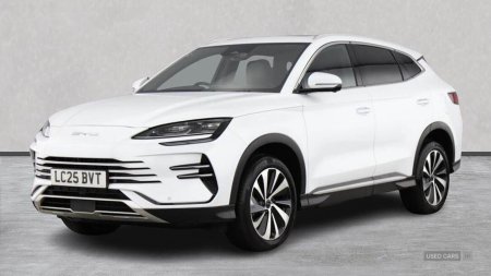 2025 BYD SEAL U - photo 2