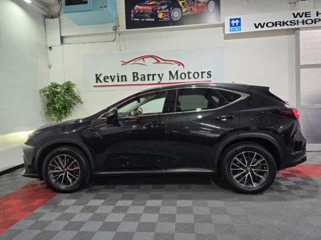 2023 Lexus NX - photo 5