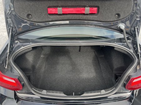 2015 BMW 2-Series - photo 10