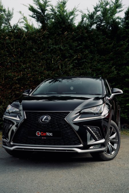 2019 Lexus NX - photo 11