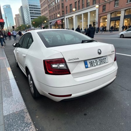 2018 Skoda Octavia - photo 15