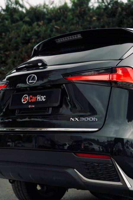 2019 Lexus NX - photo 27