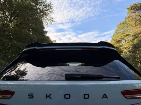 2026 Skoda Kodiaq - photo 40