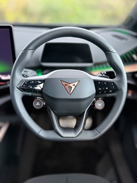 2026 Cupra Tavascan - photo 19