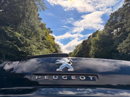 2022 Peugeot 3008 - photo 36