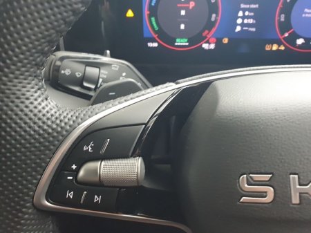 2026 Skoda Kodiaq - photo 36