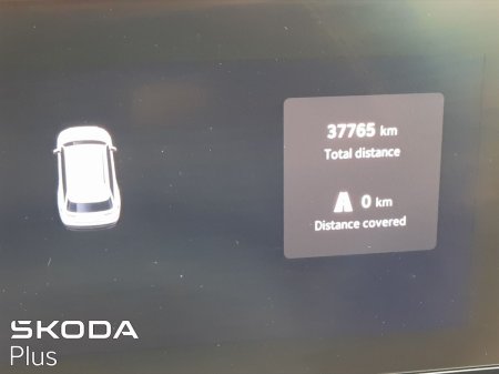 2025 Skoda Kodiaq - photo 16