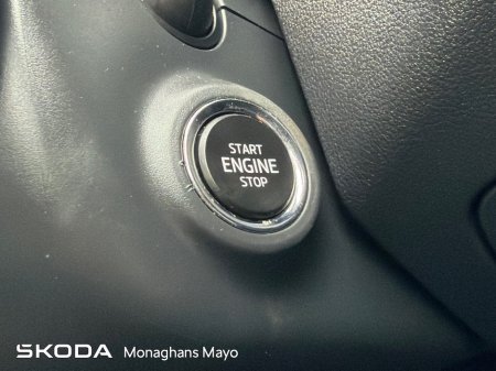 2021 Skoda Octavia - photo 15