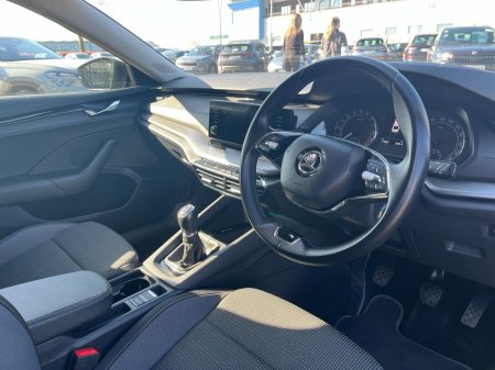 2023 Skoda Octavia - photo 6