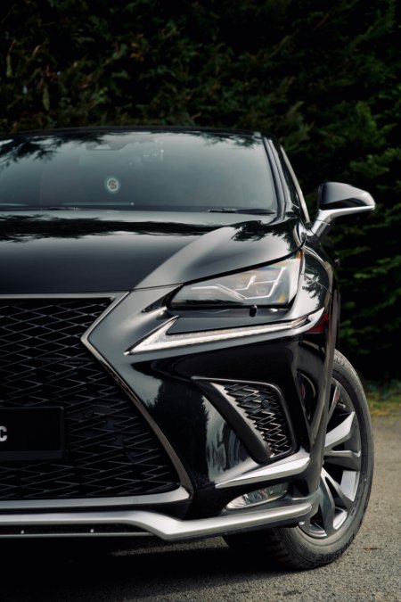2019 Lexus NX - photo 25