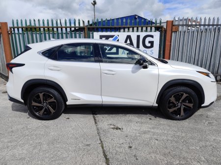 2020 Lexus NX - photo 8
