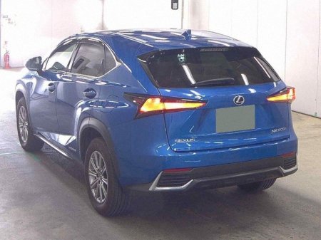 2018 Lexus NX - photo 2