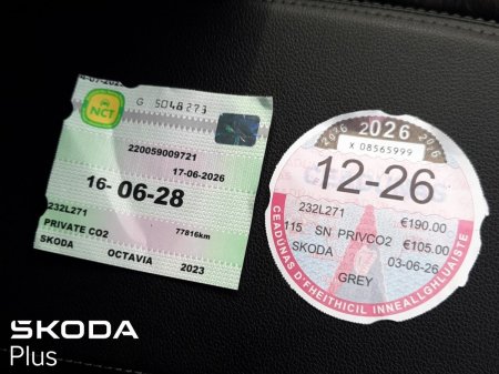 2023 Skoda Octavia - photo 25