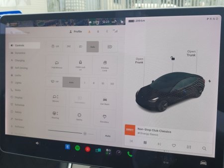 2019 Tesla Model 3 - photo 21