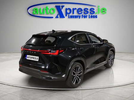 2024 Lexus NX - photo 2