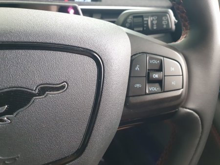 2022 Ford Mustang Mach-E - photo 40
