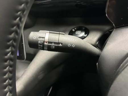 2025 BYD DOLPHIN - photo 26