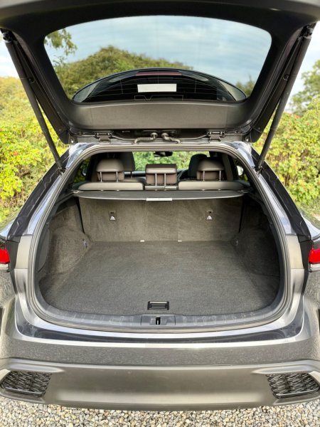 2025 Lexus RX - photo 41
