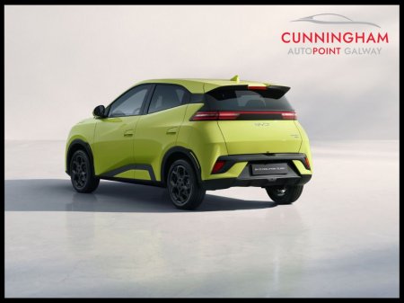 2026 BYD DOLPHIN SURF - photo 2
