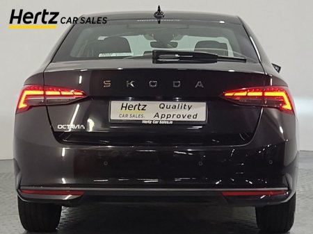 2025 Skoda Octavia - photo 4