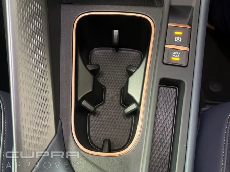 2026 Cupra Terramar - photo 18