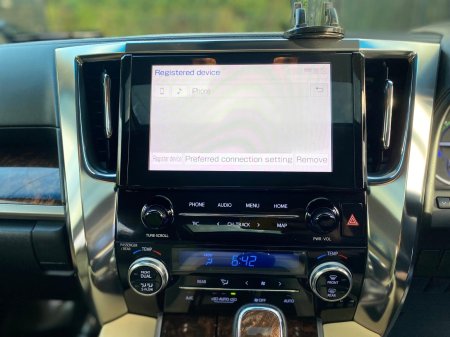 2020 Toyota Alphard - photo 25