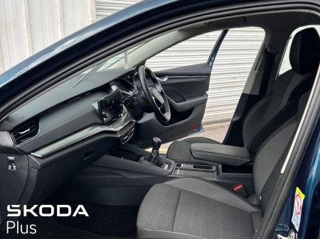 2023 Skoda Octavia - photo 4