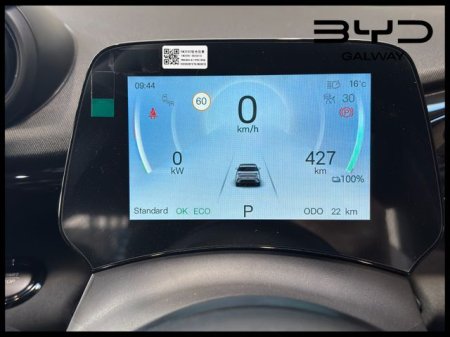 2026 BYD DOLPHIN - photo 21