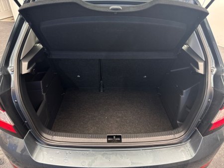 2019 Skoda Fabia 1.0TSI AMB *LOW MILEAGE* €50 P/W €15,890 thumbnail