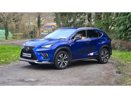 2018 Lexus NX 300 h - thumbnail 10
