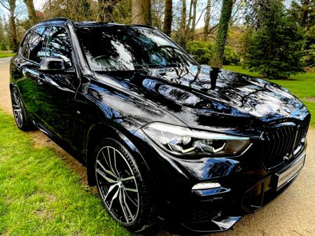 2019 BMW X5 - thumbnail 13