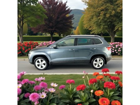 2021 Skoda Karoq - thumbnail 14