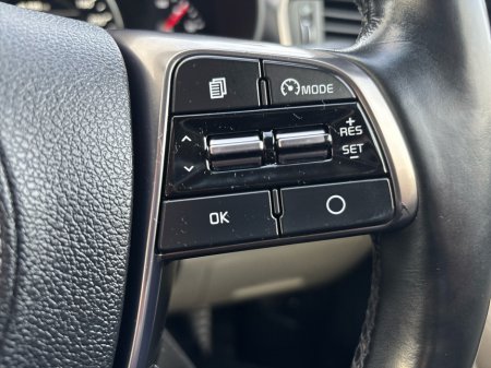 2019 Kia Sorento - thumbnail 16