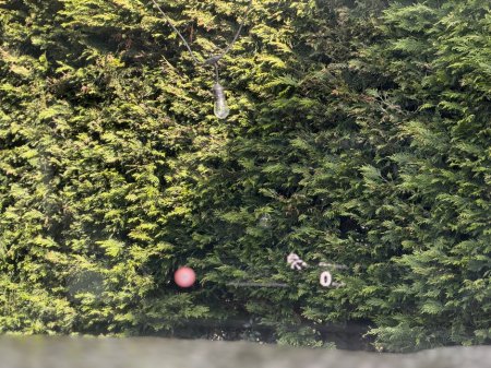 2025 Volkswagen Touareg - thumbnail 15