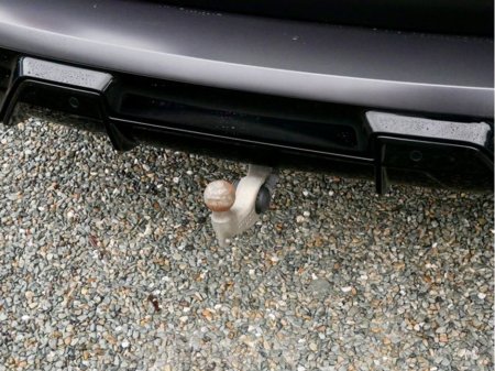 2022 BMW X5 - thumbnail 13