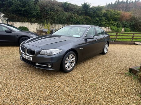 2015 BMW 5 Series D F10 SE 4DR AUTO €10,950 thumbnail