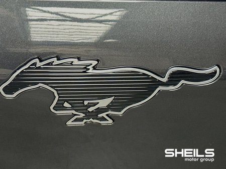 2023 Ford Mustang Mach-E - thumbnail 16