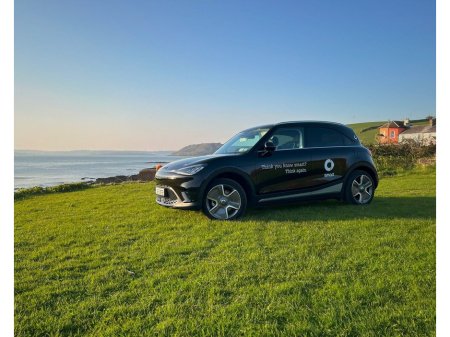 2025 Smart #1 - thumbnail 13