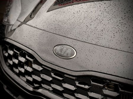 2022 Kia Sportage - thumbnail 20