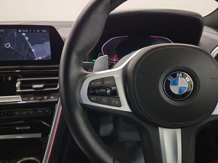 2019 BMW 8 Series - thumbnail 17