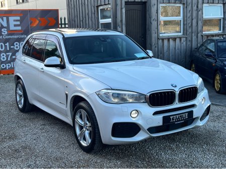 2017 BMW X5 - view 4