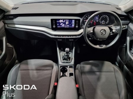 2023 Skoda Octavia - photo 2