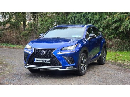 2018 Lexus NX 300 h - thumbnail 11