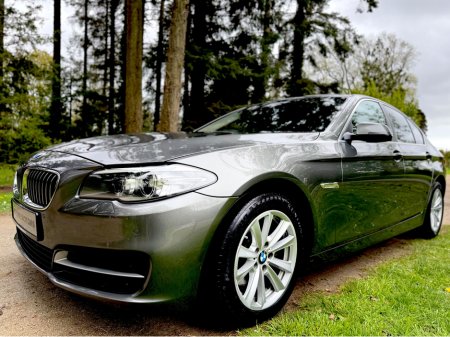 2015 BMW 5 Series - thumbnail 32