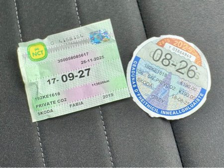 2019 Skoda Fabia AMBITON 1.0 TSI 95BHP 4DR €11,960 thumbnail