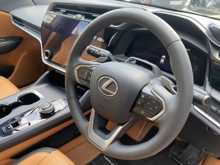 2024 Lexus RZ - thumbnail 19